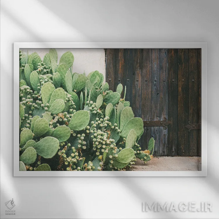 تابلو رنگهای غرب تگزاس اثر آن هادک - نمای قابدار سفید