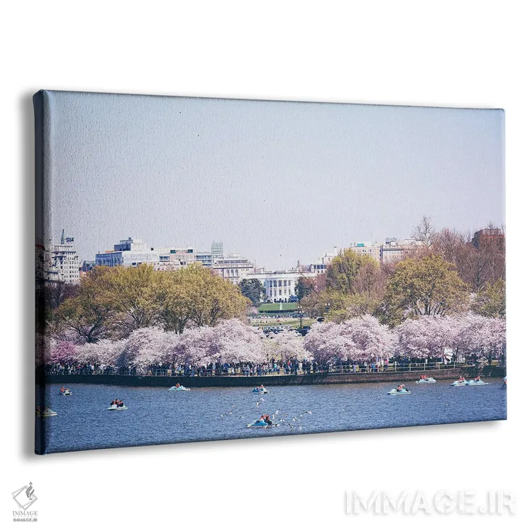 تابلو واشینگتن دیسی در فصل شکوفه اثر آن هادک - نمای پرسپکتیو محصول