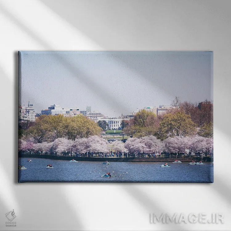 تابلو واشینگتن دیسی در فصل شکوفه اثر آن هادک - نمای روبهرو روی دیوار