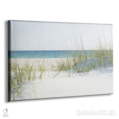 تابلو ساحل گریتون فلوریدا اثر آن هادک - نمای پرسپکتیو محصول