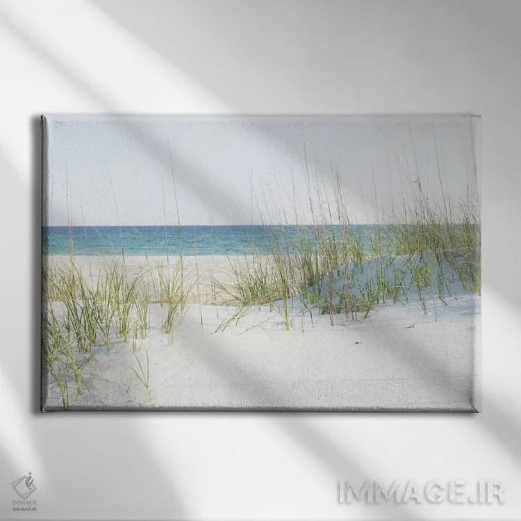 تابلو ساحل گریتون فلوریدا اثر آن هادک - نمای روبهرو روی دیوار