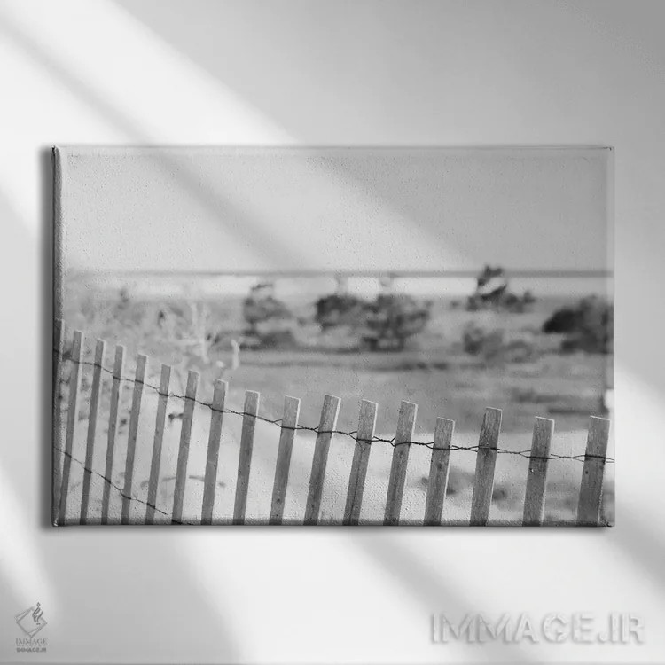 تابلو ساحل خلیج فلوریدا اثر آن هادک - نمای روبهرو روی دیوار