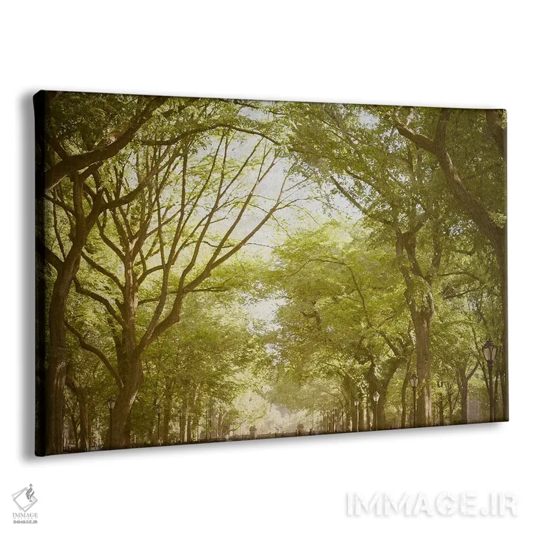 تابلو معبر اصلی پارک مرکزی نیویورک اثر آن هادک - نمای پرسپکتیو محصول