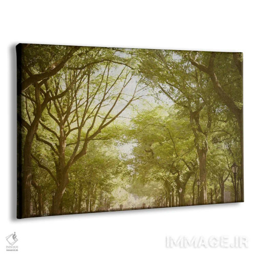 تابلو معبر اصلی پارک مرکزی نیویورک اثر آن هادک - نمای پرسپکتیو محصول