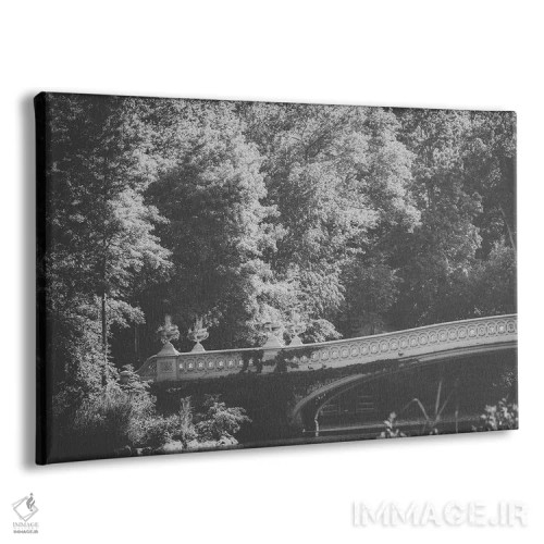 تابلو پل کمانی پارک مرکزی اثر آن هادک - نمای پرسپکتیو محصول