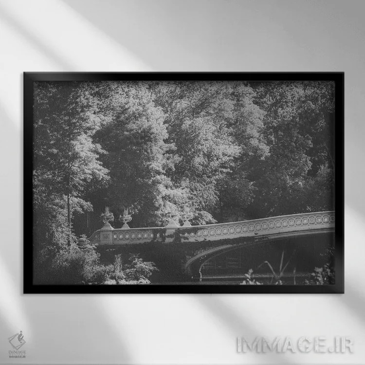 تابلو پل کمانی پارک مرکزی اثر آن هادک - نمای قابدار مشکی