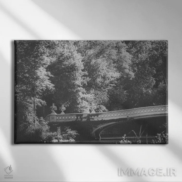 تابلو پل کمانی پارک مرکزی اثر آن هادک - نمای روبهرو روی دیوار