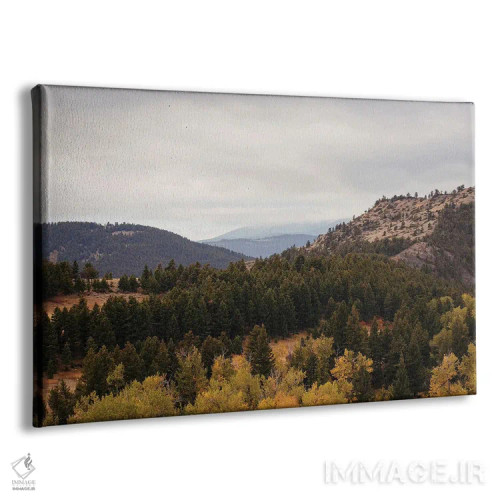 تابلو پاییز در کوههای بریجر مونتانا اثر آن هادک - نمای پرسپکتیو محصول
