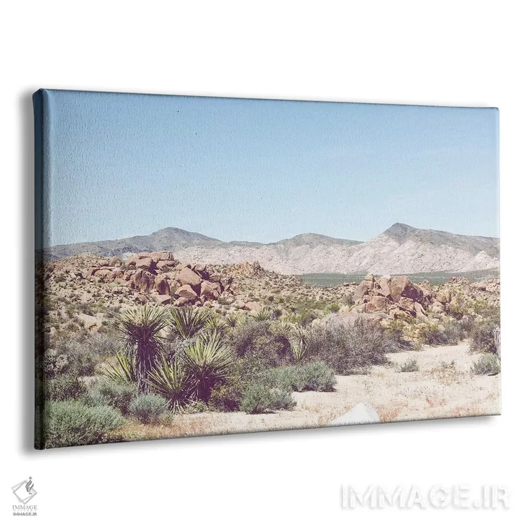 تابلو سایهروشنهای بیابان اثر آن هادک - نمای پرسپکتیو محصول