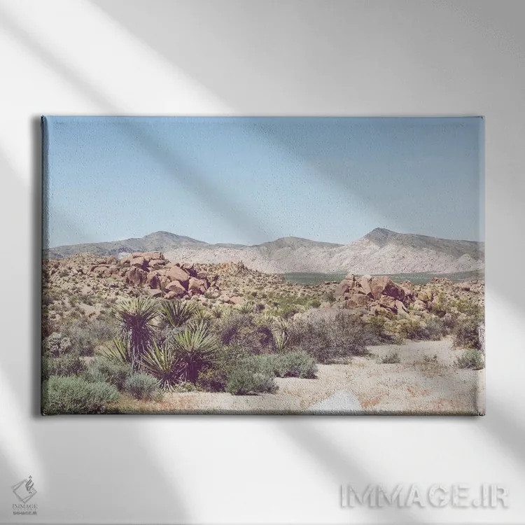 تابلو سایهروشنهای بیابان اثر آن هادک - نمای روبهرو روی دیوار