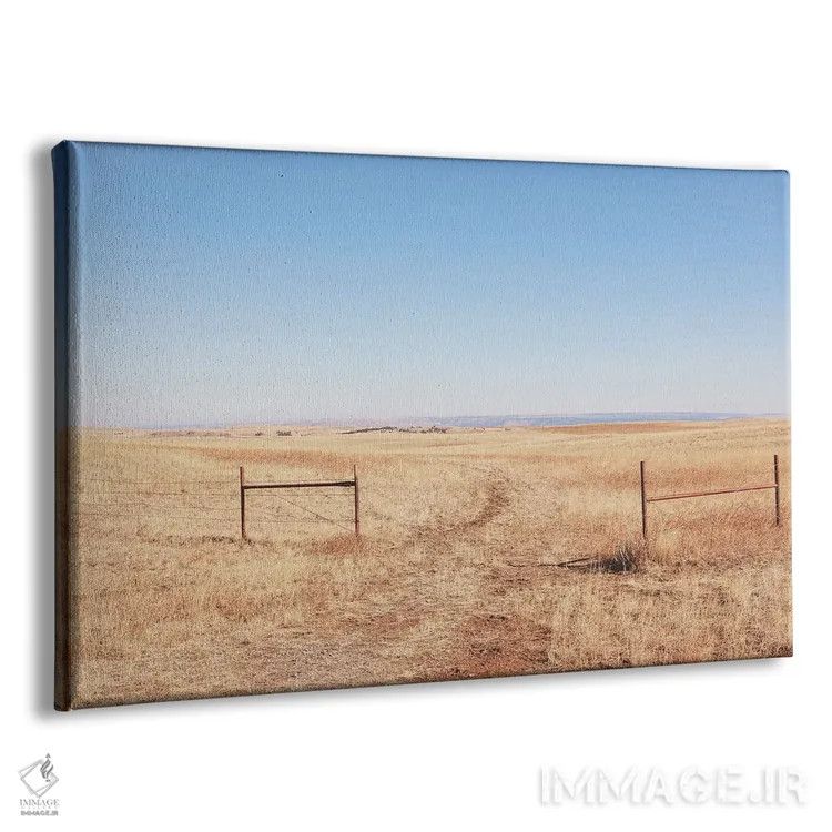 تابلو دشت آزاد مونتانا اثر آن هادک - نمای پرسپکتیو محصول
