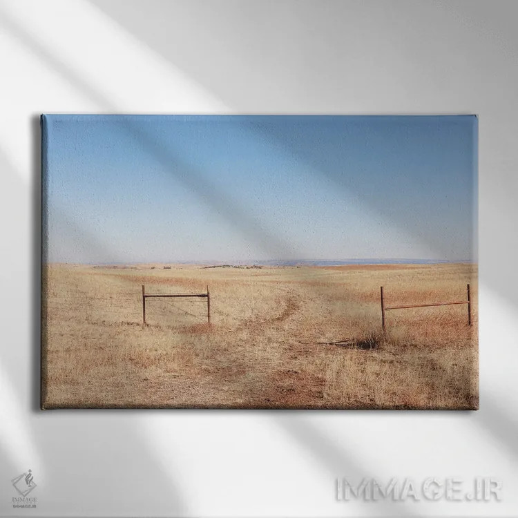 تابلو دشت آزاد مونتانا اثر آن هادک - نمای روبهرو روی دیوار