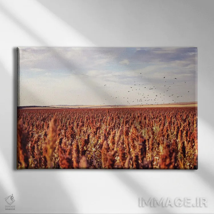 تابلو Farm Field With Blackbirds,پاییز در داکوتای جنوبی، مزرعه با کلاغهای سیاه اثر آن هادک - نمای روبهرو روی دیوار