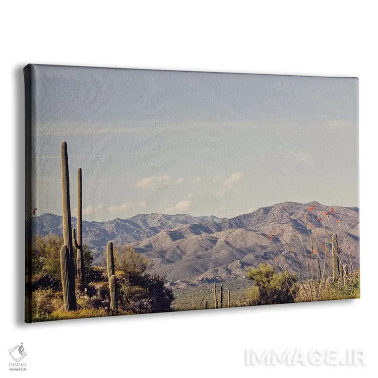 تابلو جاده بیابانی اثر آن هادک - نمای پرسپکتیو محصول