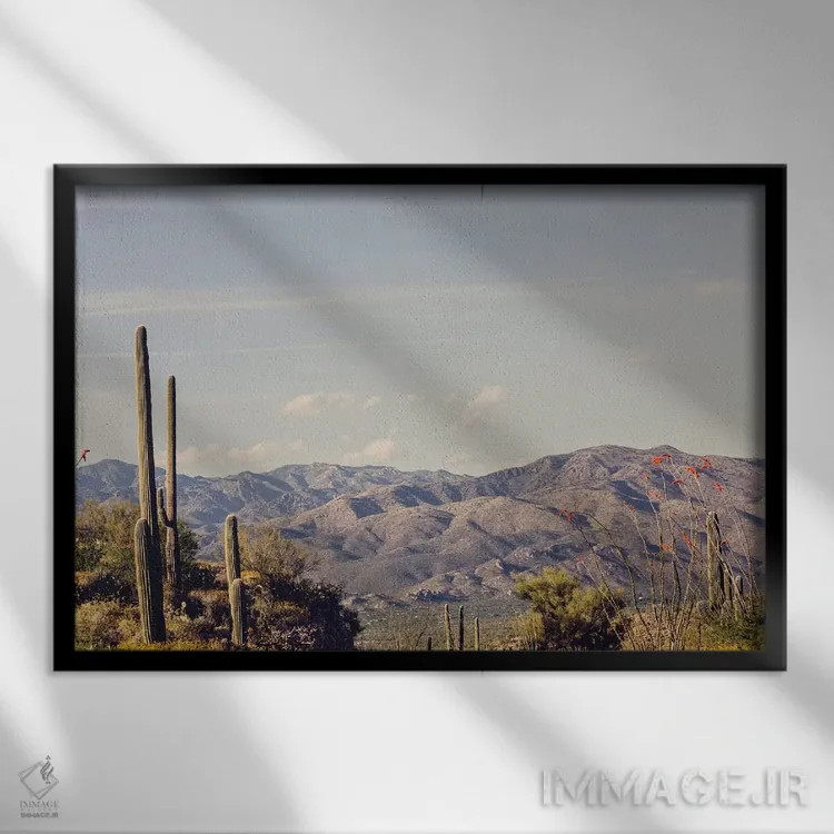 تابلو جاده بیابانی اثر آن هادک - نمای قابدار مشکی