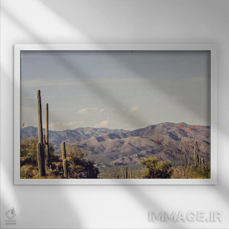 تابلو جاده بیابانی اثر آن هادک - نمای قابدار سفید