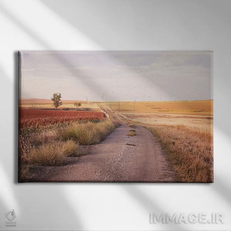 تابلو پاییز در داکوتای جنوبی اثر آن هادک - نمای روبهرو روی دیوار
