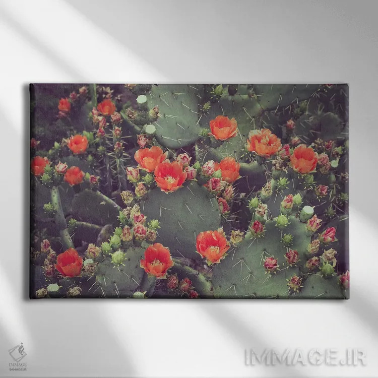 تابلو رز بیابانی اثر آن هادک - نمای روبهرو روی دیوار