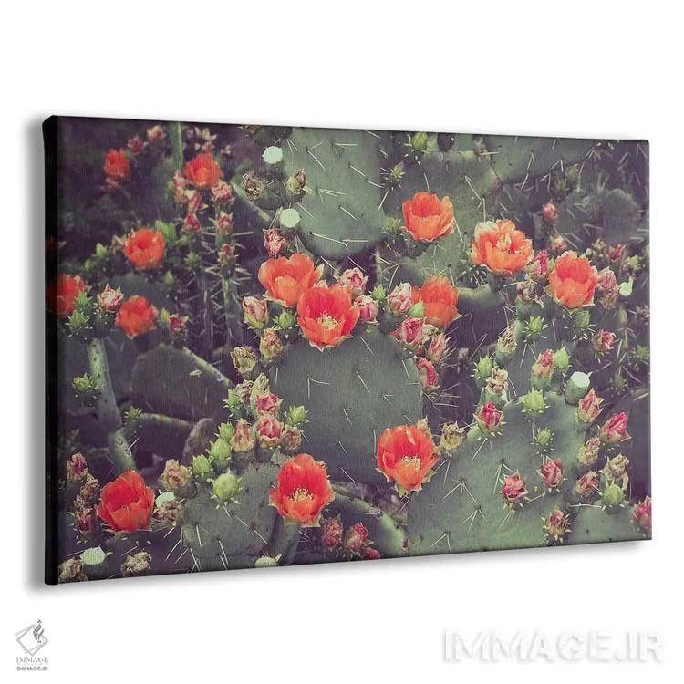 تابلو رز بیابانی اثر آن هادک - نمای پرسپکتیو محصول