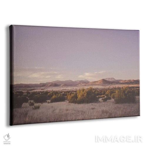 تابلو غروب بیابان اثر آن هادک - نمای پرسپکتیو محصول