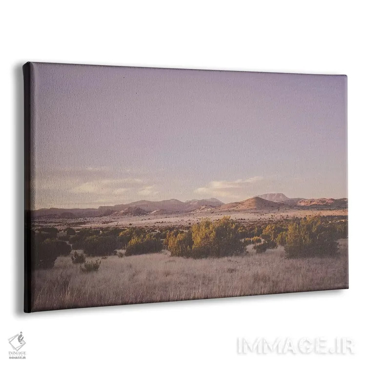 تابلو غروب بیابان اثر آن هادک - نمای پرسپکتیو محصول