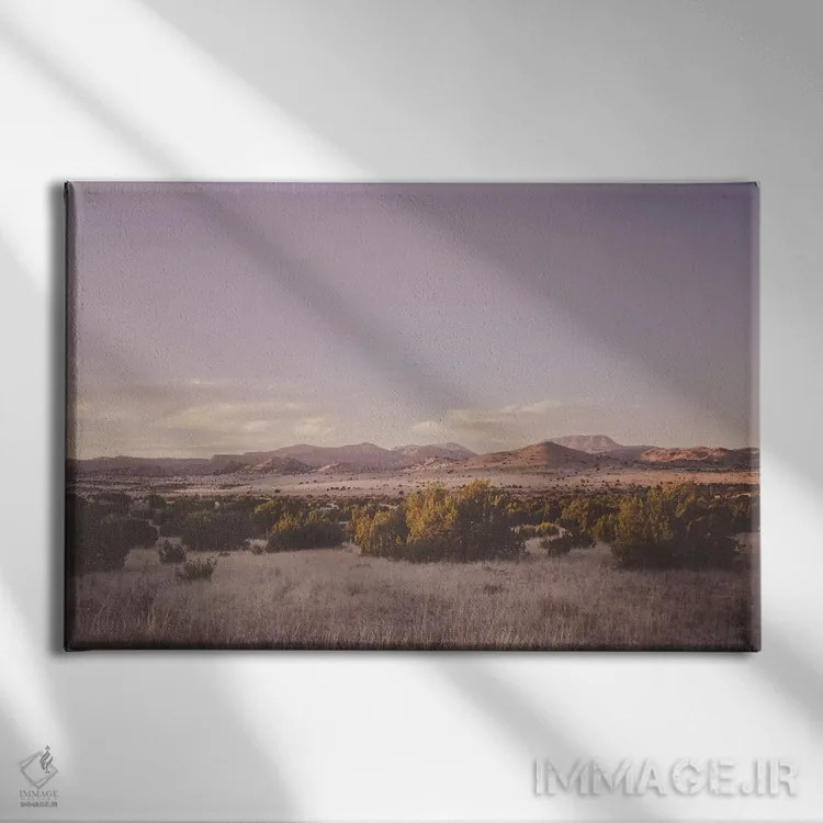 تابلو غروب بیابان اثر آن هادک - نمای روبهرو روی دیوار