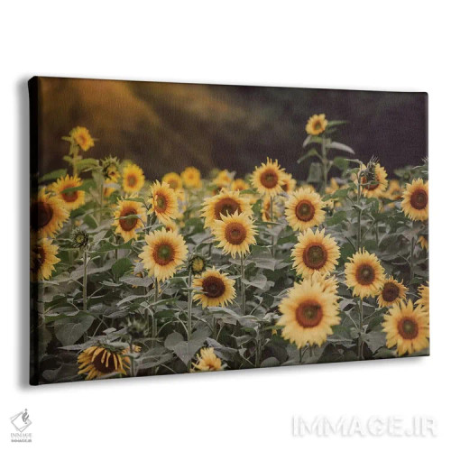 تابلو مزرعه طلایی ۱ اثر آن هادک - نمای پرسپکتیو محصول