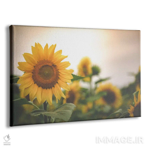 تابلو مزرعه طلایی ۲ اثر آن هادک - نمای پرسپکتیو محصول