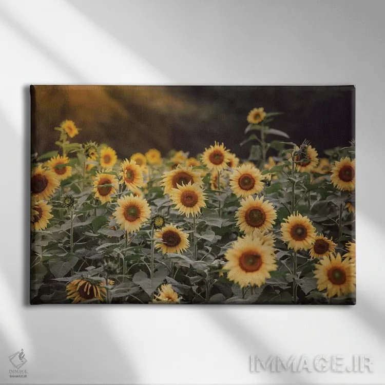 تابلو مزرعه طلایی ۱ اثر آن هادک - نمای روبهرو روی دیوار