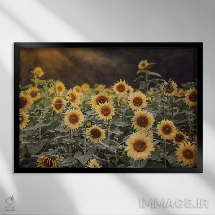 تابلو مزرعه طلایی ۱ اثر آن هادک - نمای قابدار مشکی