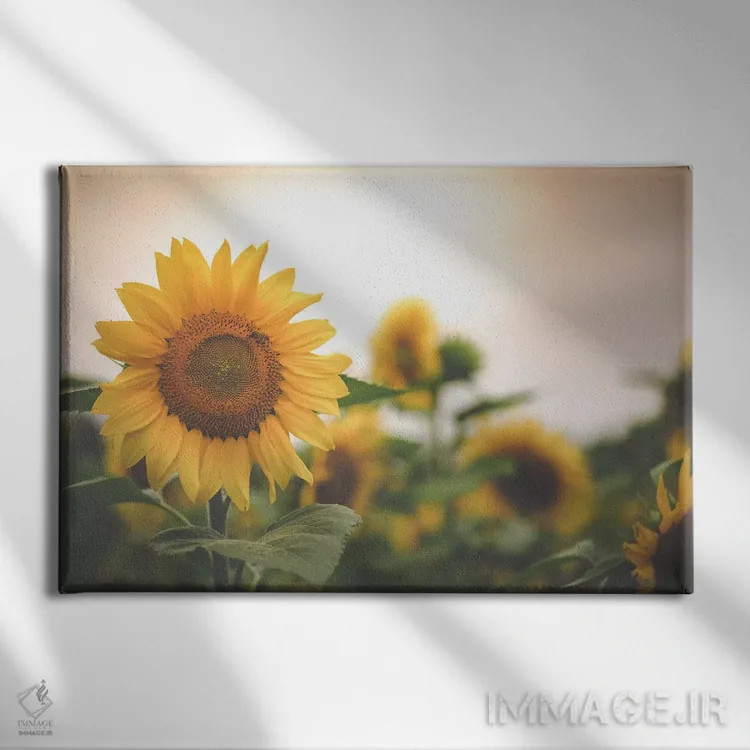 تابلو مزرعه طلایی ۲ اثر آن هادک - نمای روبهرو روی دیوار