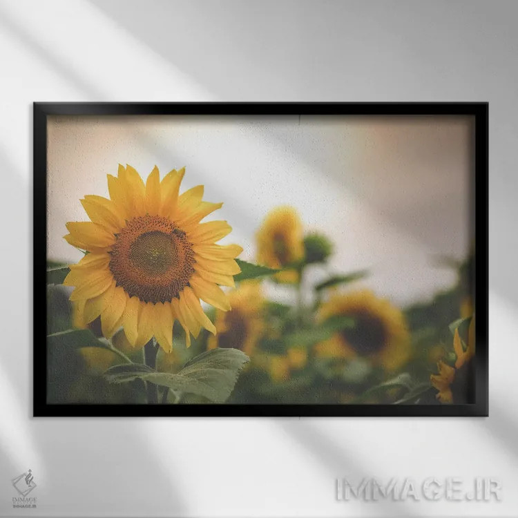 تابلو مزرعه طلایی ۲ اثر آن هادک - نمای قابدار مشکی