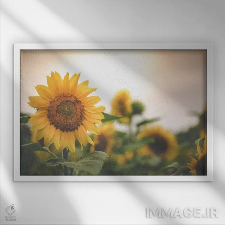 تابلو مزرعه طلایی ۲ اثر آن هادک - نمای قابدار سفید