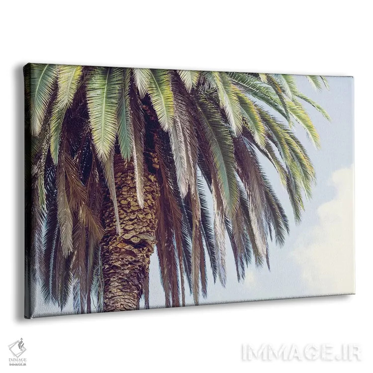 تابلو هالیوود اثر آن هادک - نمای پرسپکتیو محصول