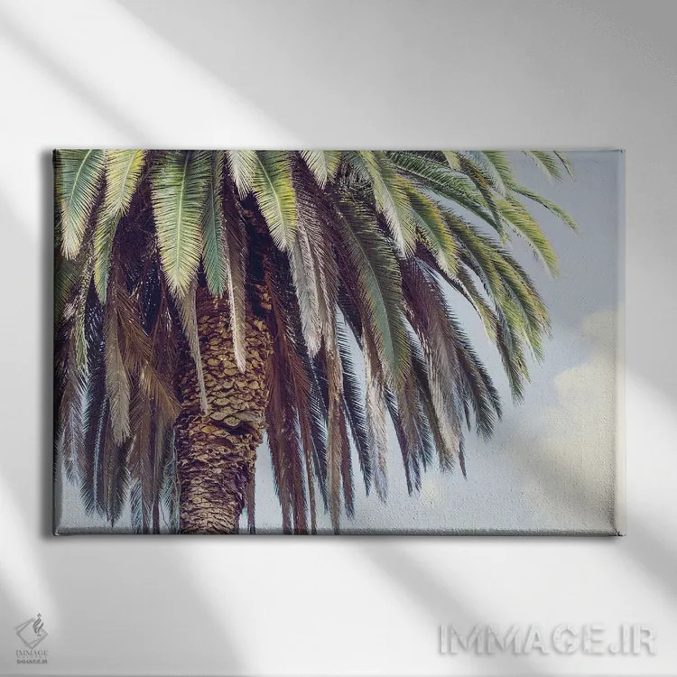 تابلو هالیوود اثر آن هادک - نمای روبهرو روی دیوار