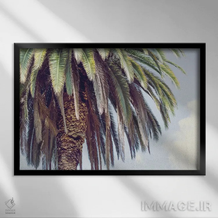 تابلو هالیوود اثر آن هادک - نمای قابدار مشکی