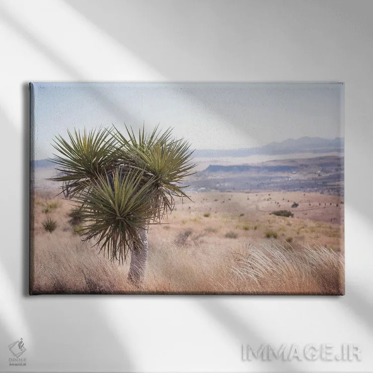 تابلو خانه در دشت اثر آن هادک - نمای روبهرو روی دیوار