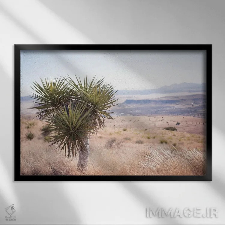 تابلو خانه در دشت اثر آن هادک - نمای قابدار مشکی