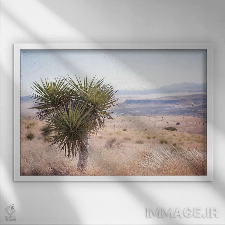 تابلو خانه در دشت اثر آن هادک - نمای قابدار سفید