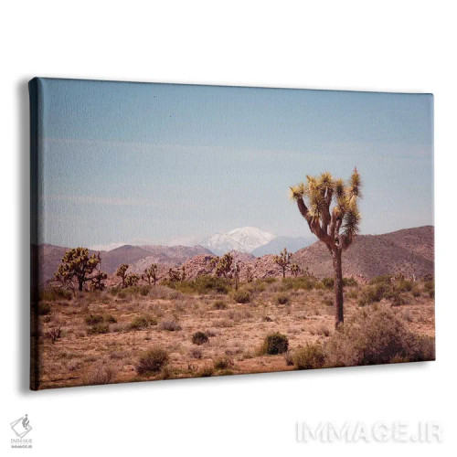 تابلو درخت جاشوا ۲ اثر آن هادک - نمای پرسپکتیو محصول