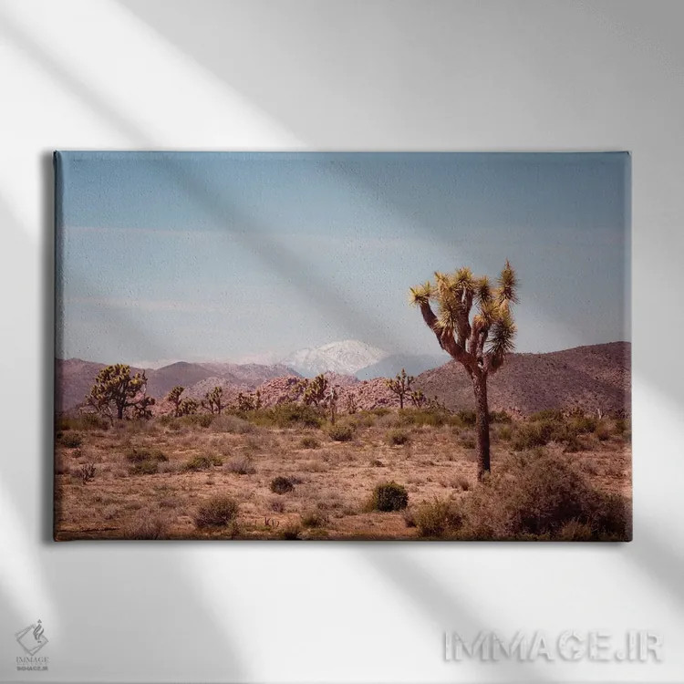 تابلو درخت جاشوا ۲ اثر آن هادک - نمای روبهرو روی دیوار