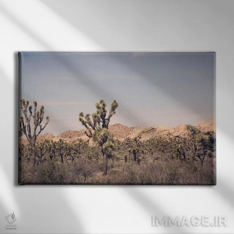 تابلو درخت جاشوا ۳ اثر آن هادک - نمای روبهرو روی دیوار