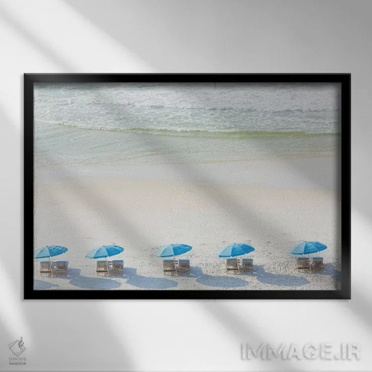 تابلو روز ساحلی اثر آن هادک - نمای قابدار مشکی