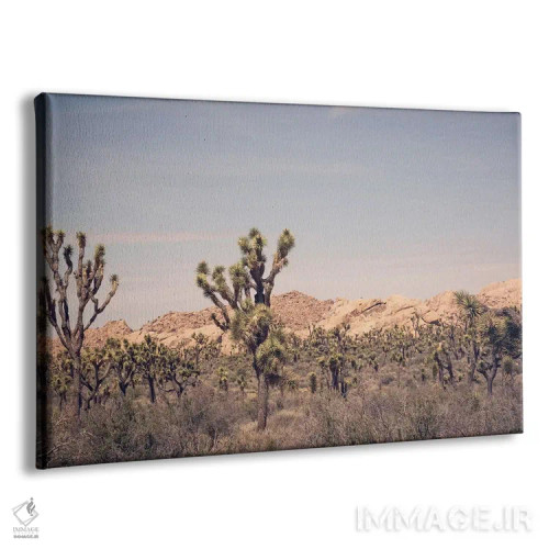 تابلو درخت جاشوا ۳ اثر آن هادک - نمای پرسپکتیو محصول