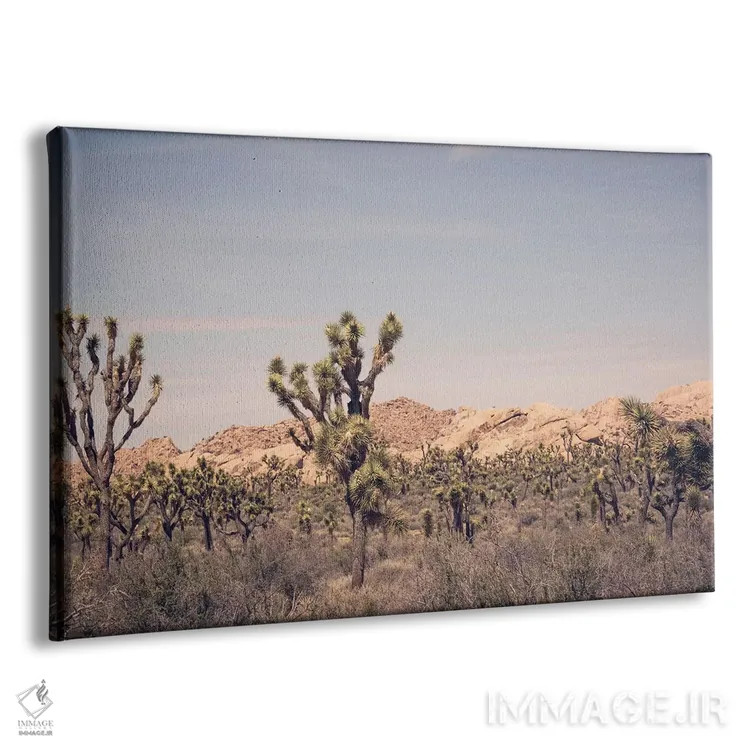 تابلو درخت جاشوا ۳ اثر آن هادک - نمای پرسپکتیو محصول