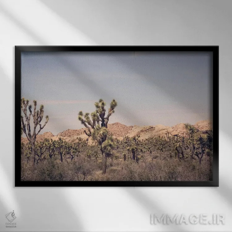 تابلو درخت جاشوا ۳ اثر آن هادک - نمای قابدار مشکی