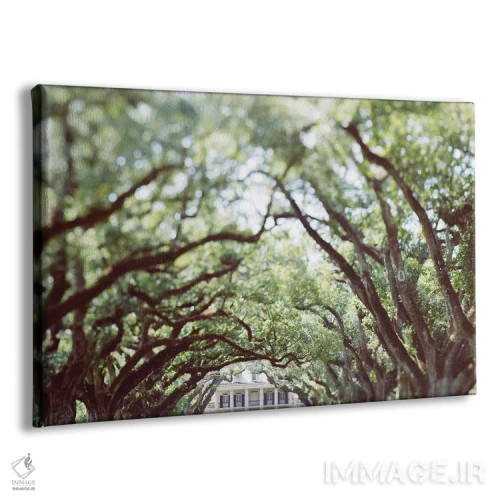 تابلو لوئیزیانا اثر آن هادک - نمای پرسپکتیو محصول