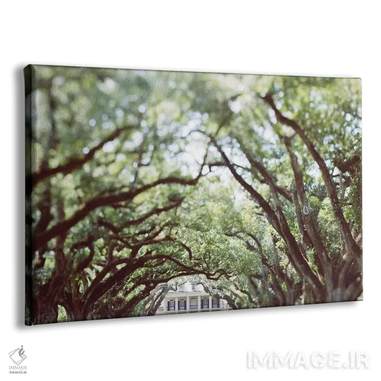 تابلو لوئیزیانا اثر آن هادک - نمای پرسپکتیو محصول