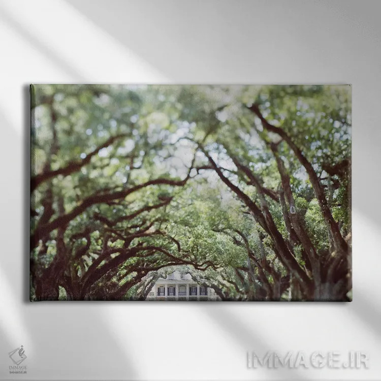 تابلو لوئیزیانا اثر آن هادک - نمای روبهرو روی دیوار