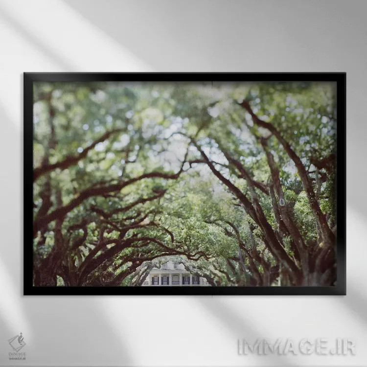 تابلو لوئیزیانا اثر آن هادک - نمای قابدار مشکی